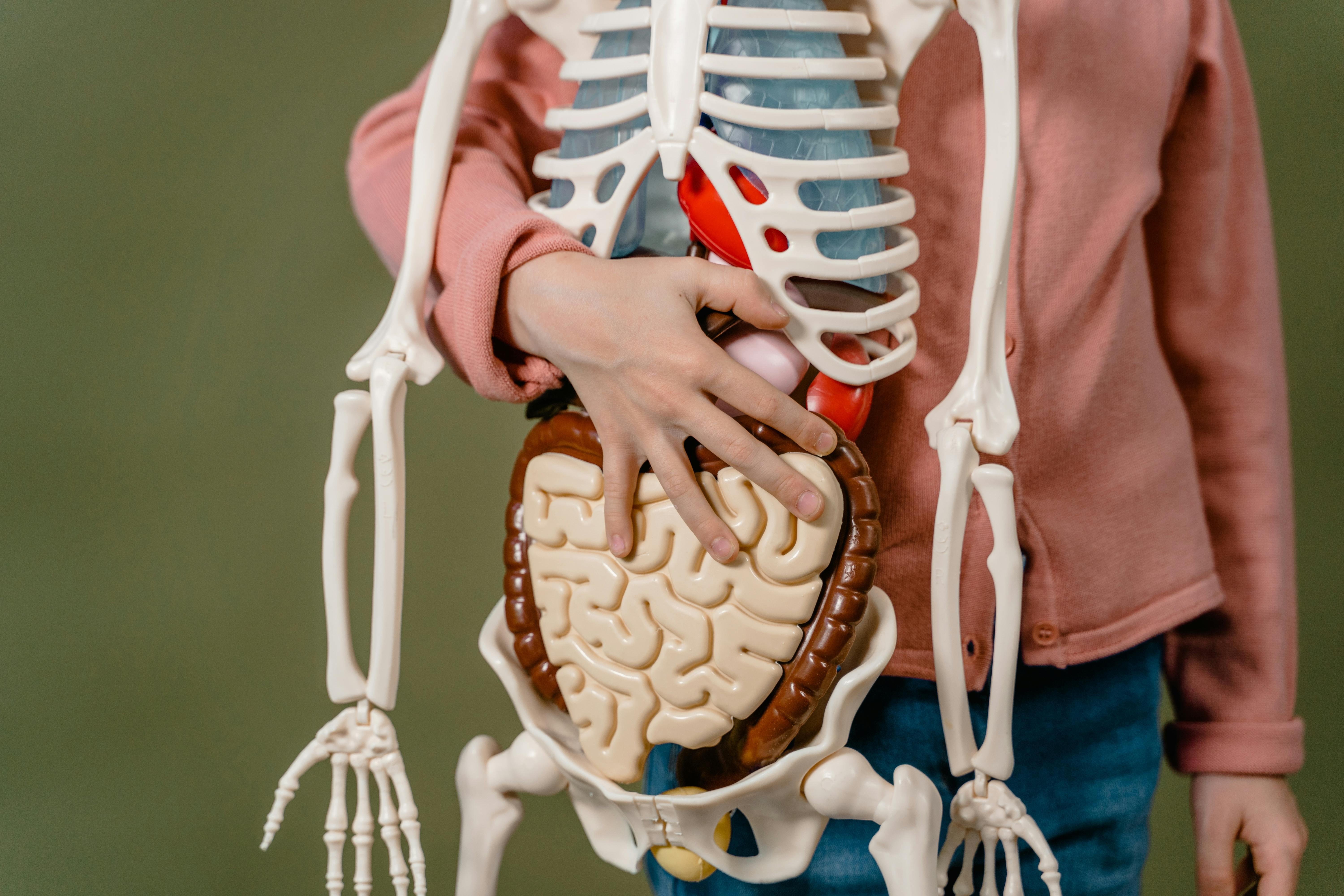 Gut Health for Beginners: Where to Start